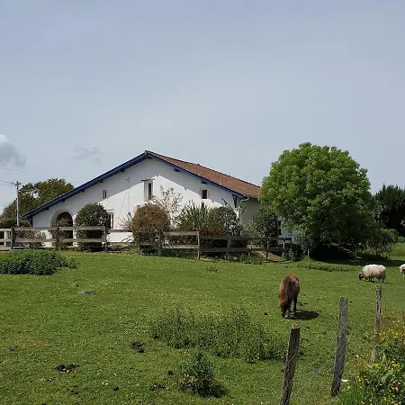 Tatil Evi Maison Avec Piscine Entre Ocean Et Campagne *